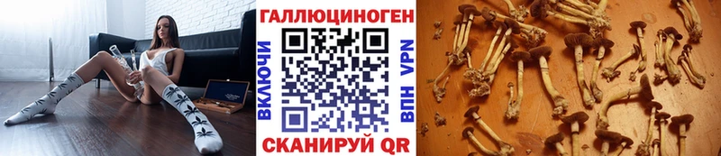 Псилоцибиновые грибы Psilocybine cubensis  наркота  Спас-Деменск 